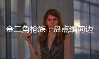 金三角枪族：盘点缅甸边境的自制武器