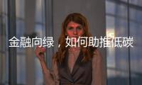 金融向绿
，如何助推低碳经济破浪前行｜2024企业双碳行动力调研