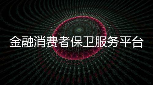 金融在金融监管总局指导下