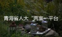 青海省人大“两室一平台”打通代表联系群众“最后一公里”