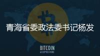 青海省委政法委书记杨发森主动投案
