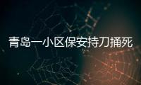 青岛一小区保安持刀捅死外卖员 已被刑拘