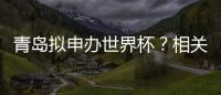 青岛拟申办世界杯？相关部门回应：不一定是主赛事
