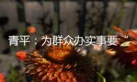 青平�：为群众办实事要“踩准步点”