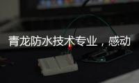 青龙防水技术专业，感动业主获赠锦旗