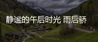 静谧的午后时光 雨后骄阳阳光房与惬意相伴