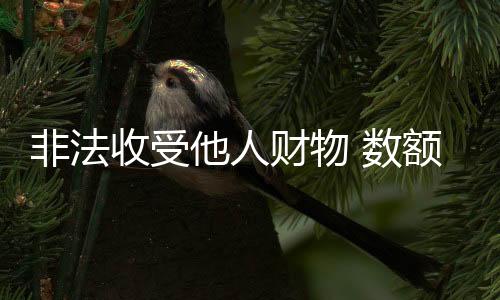 非法经最高人民检察院指定