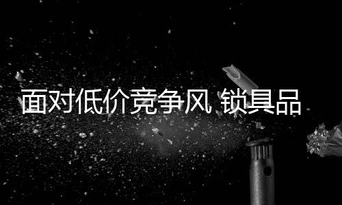 一个企业的风锁发展
