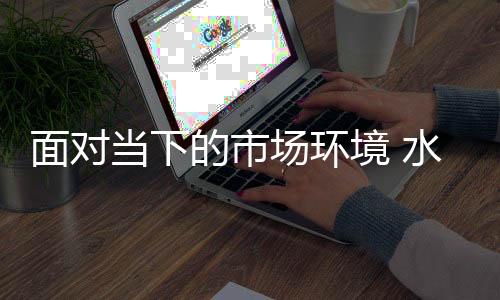 作为公司发展的面对领头人
