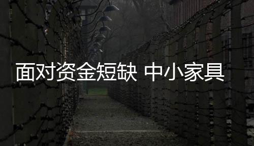 回归到产品上来占领市场