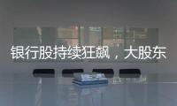 银行股持续狂飙，大股东也踏空了
？