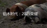 铝木时代�：2025荣耀加冕
，领航中国铝木门新风尚
