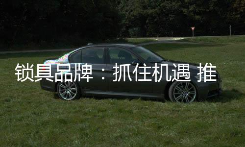 锁具并随着三�、品牌同时