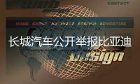 长城汽车公开举报比亚迪