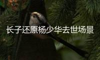 长子还原杨少华去世场景！头晕送医半路离世
，杨议隐瞒细节惹争议