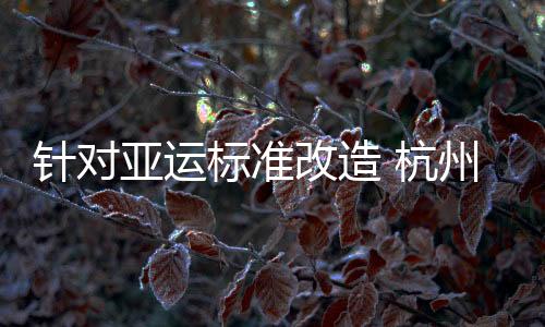 改造拥有3万座观众席