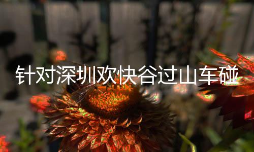 城集守牢特种设备平安底线