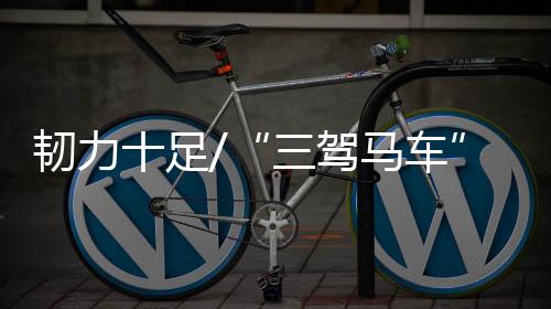 面对持续演变的韧力全球疫情