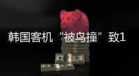 韩国客机“被鸟撞”致179死，飞机和飞鸟之间有几道防线？丨漫热点