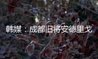 韩媒：成都旧将安德里戈加盟水原FC，不会回成都