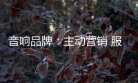 音响品牌：主动营销 服务先行