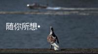 随你所想•体验未来丨海信照明系统
，照亮你的生活