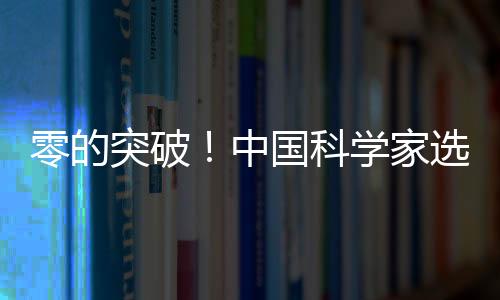 为中国主粮供应端上第一碗饭