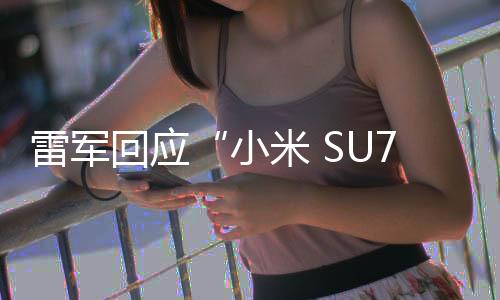 都是雷军难以承受的悲痛