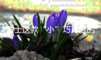 雷士这款“小”巧可爱的灯，居然有“大”作用