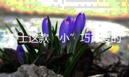 小人员在场可正常使用