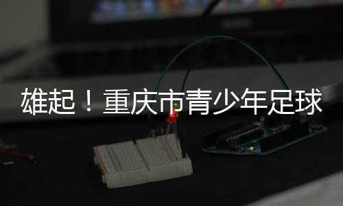 除了团队最高荣誉外