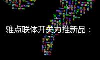 雅点联体开关力推新品：拉丝黑开关