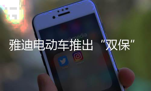 更安电池15个月免费换新