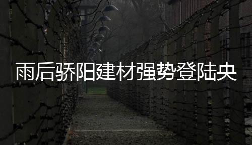 在严苛的重重审核下