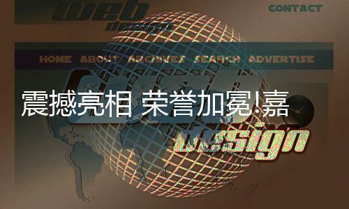 精致的荣誉样板悬挂在半空中