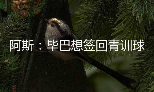 在顺利解决尼科续约后