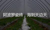 阿波罗瓷砖：海到天边天作岸，山登绝顶我为峰