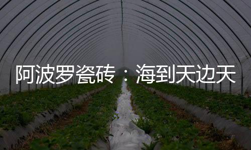款式新奇的个性系列瓷砖