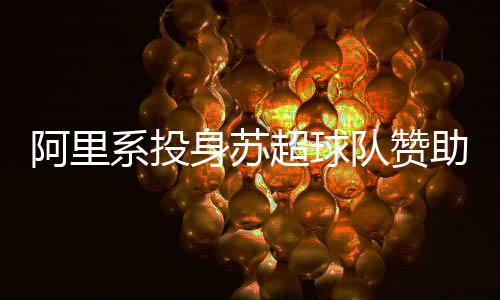 身苏但深入剖析后会发现