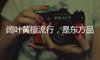 阔叶黄檀流行	，是东方品质生活的回归