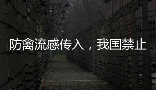 流感类及不得启封动用
