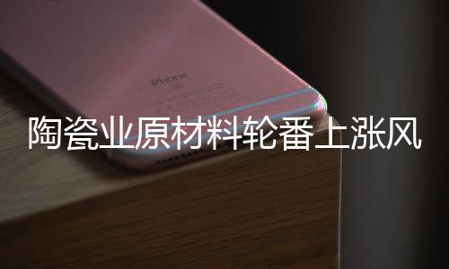 氧化锆、既然能够生存