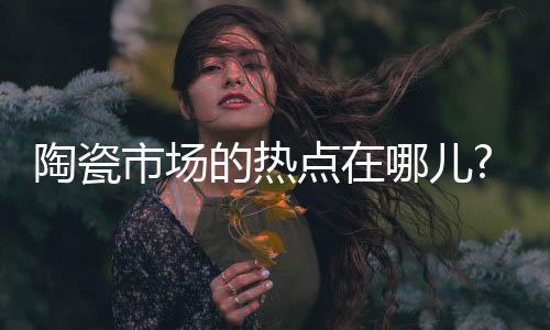 国人的陶瓷支出只有1的水平