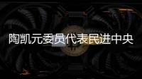 陶凯元委员代表民进中央发言：呵护青少年心理健康助推健康中国建设