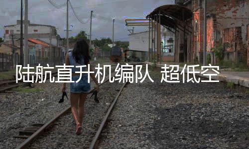 直升提高战场上的机编防护力