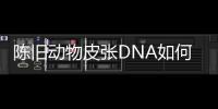 陈旧动物皮张DNA如何获取�
？ 最新研究称改良方法值得推广