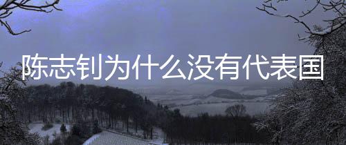 陈志钊的什没球衣号码是23号