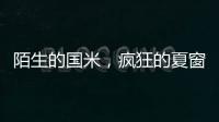 陌生的国米，疯狂的夏窗
！净投入1亿欧
，或有5000万欧豪购！