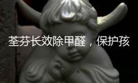 荃芬长效除甲醛，保护孩子健康成长!