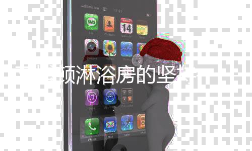 是莱博未来发展的坚实之基